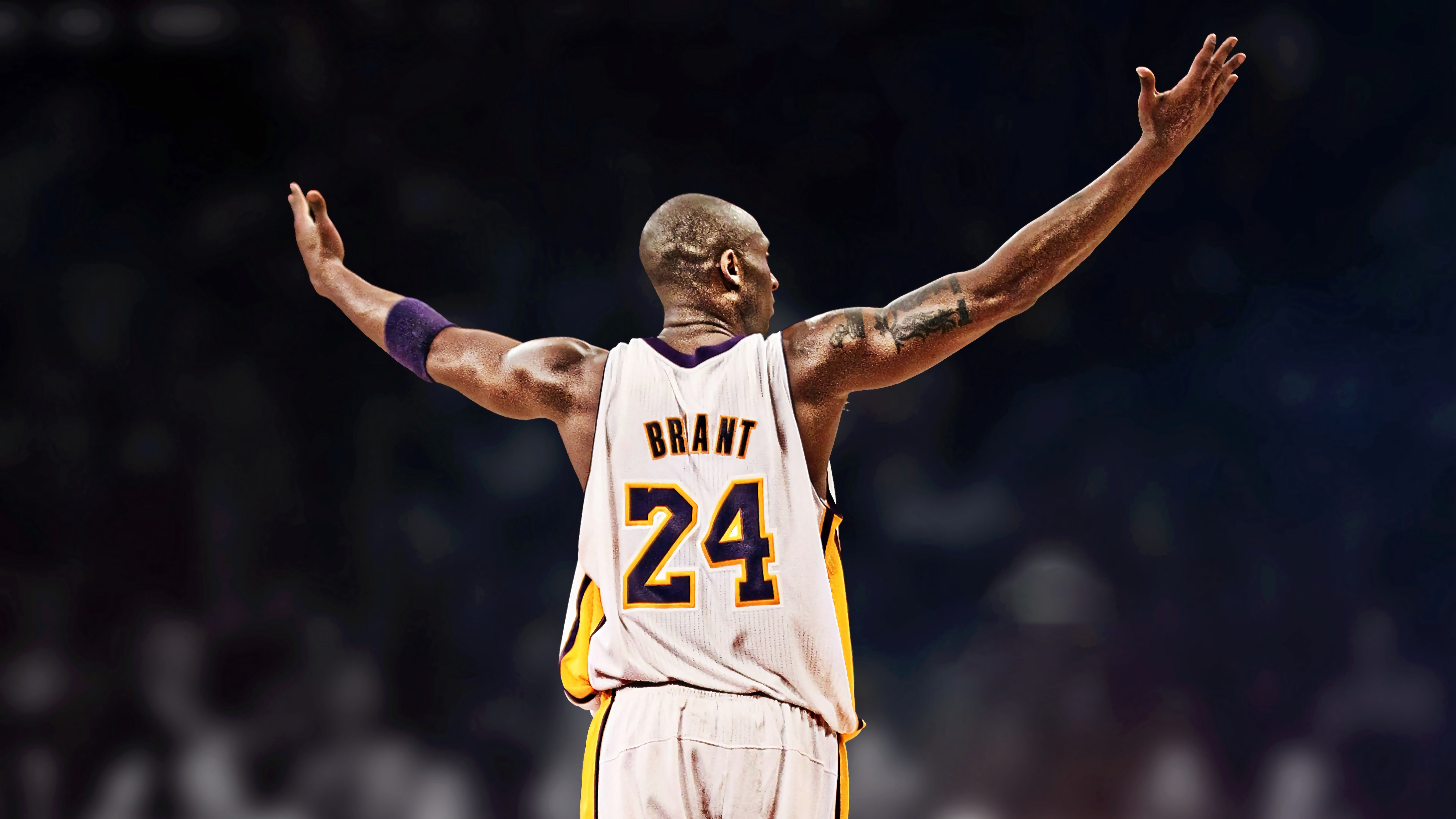 NBA长版图-横版素材图