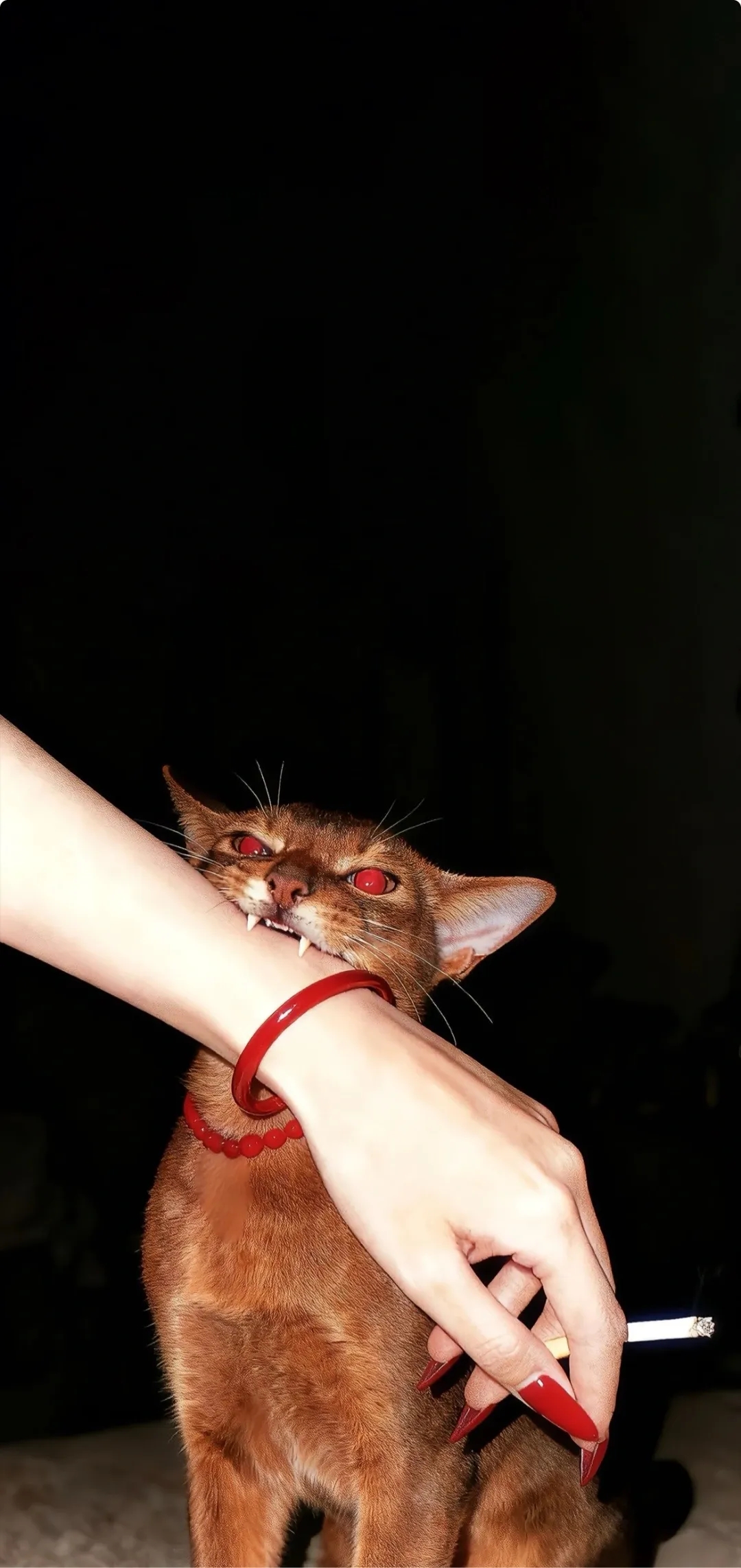 手机壁纸高清壁纸